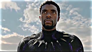 Black Panther: All The Stars (EDIT)
