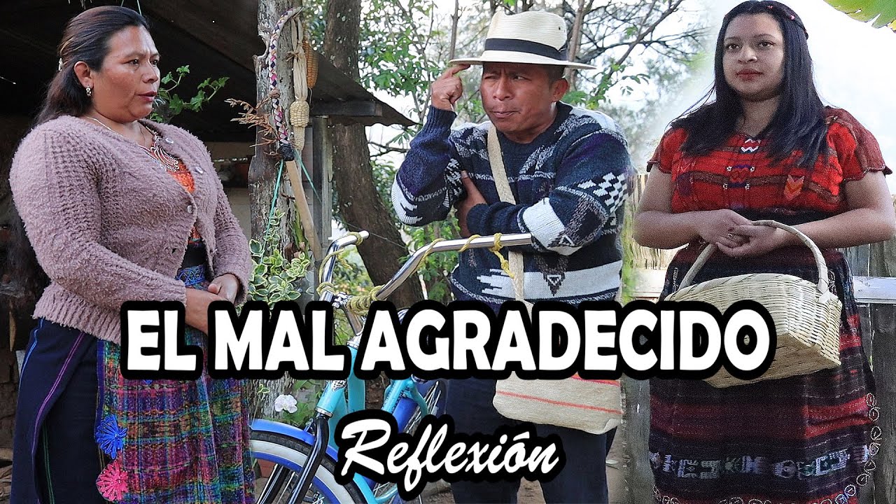 EL MAL AGRADECIDO Reflexión