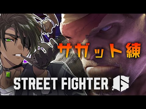【ストリートファイター6】サガット練習【荒咬オウガ /ホロスターズ】
