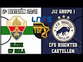 SEGUNDA DIVISIÓN J12 (2020/2021). Elche CF Sala vs Bisontes Castellón FS