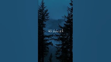 سورة الحاقه 🤍 قران كريم بصوت جميل جدا #ارح_سمعك #قرآن #اكسبلور #المصحف #مقاطع_دينية #fpy