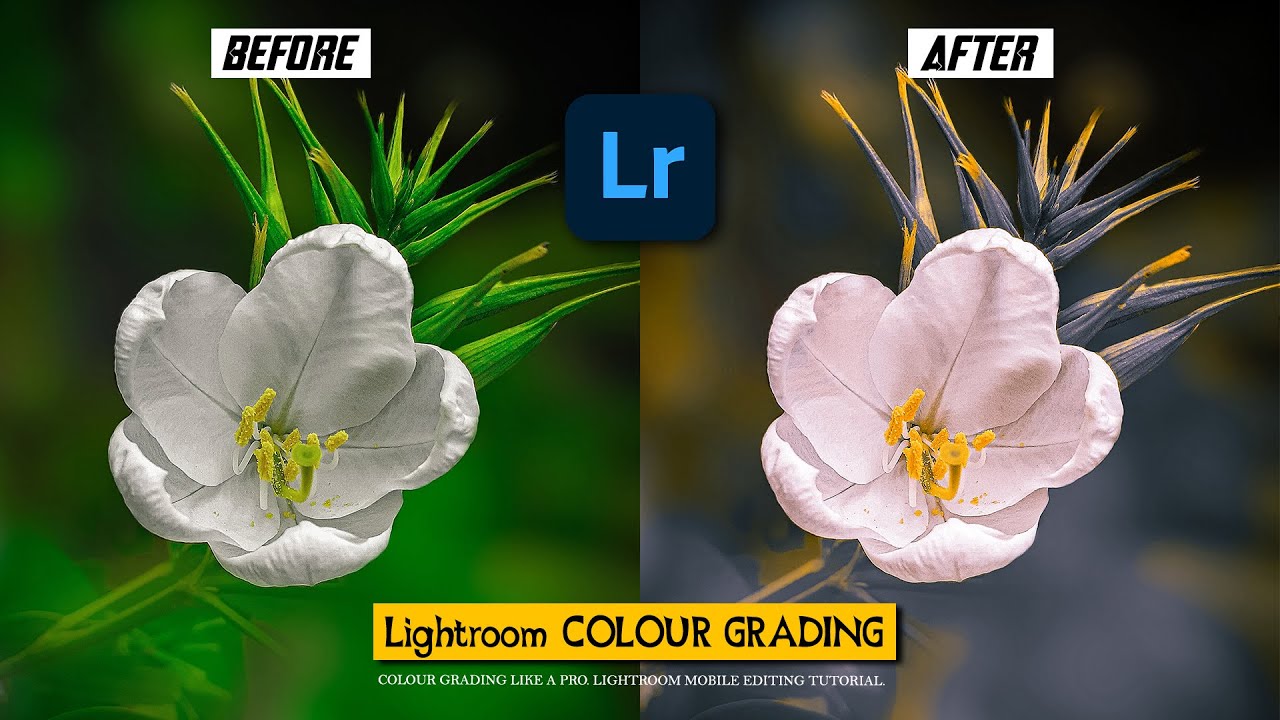 Lightroom color grading secret trick. || Tutoriops.
