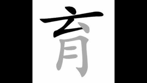 how to write chinese 育丨Chinese stroke order中文汉字笔顺动画