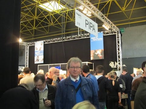 საუკეთესო ბელგიური ოსტატი მტრედი, საუკეთესო ბელგიური მეცხოველეობა მეთოდების racing მტრედი კონსე