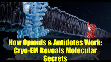 How Opioids & Antidotes Work: Cryo-EM Reveals Molecular Secrets