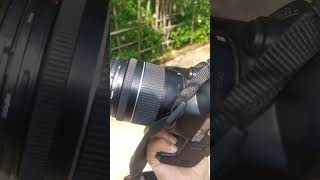 Canon 200d Mark 2 ? DSLR lovers Canon ❤️ Dslr short videos shorts short youtubeshorts canon