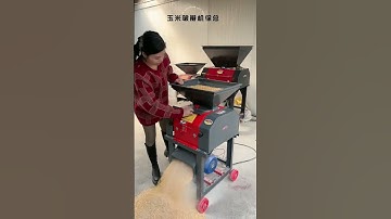 🔥 Amazing Corn Shelling Machine in Action! Fast & Efficient 🌽