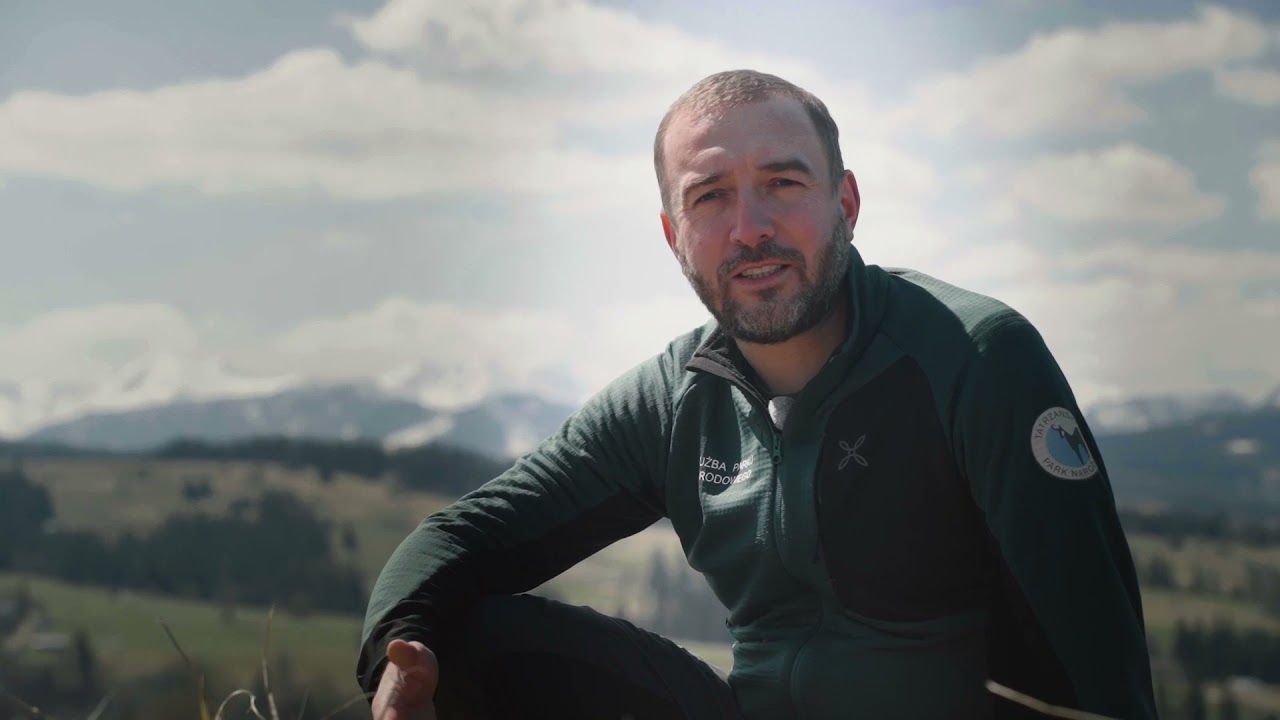 Dzikim Okiem – krokusy