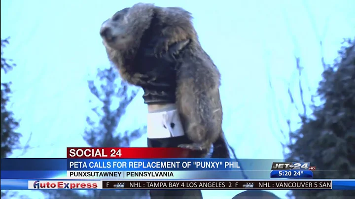 PETA calling for replacement of Punxsutawney Phil with robot groundhog