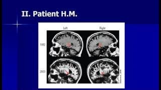 The Neuroscience of Memory - Eleanor Maguire