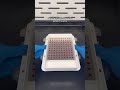 How Compounded Capsules Improve Access and Treatment