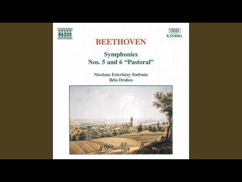 Beethoven Symphony No. 7: Allegro con brio – LPO Moments