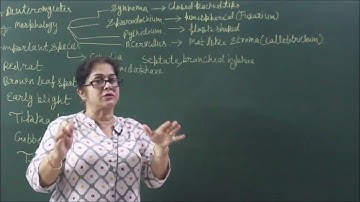 Bio-XI-2-14 Deuteromycetes,  Pradeep Kshetrapal channel