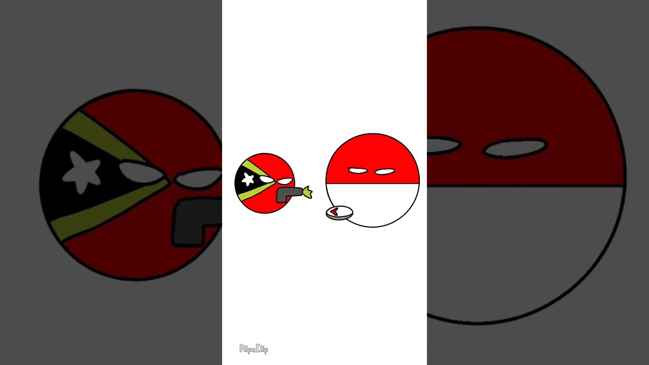 Indonesia Invades Timor Leste Summary - Summary 1 