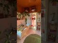 #home #cozynights #houseplants #householdplants #kitchen #homedecor #interior #interiordesign
