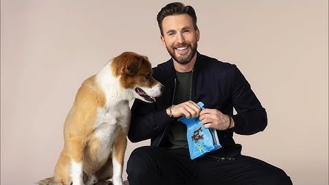Chris Evans Partners With Jinx Premium Dog Food Discusses His ‘Perfect’
