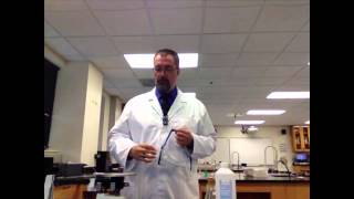 The Density Lab: Pre-Lab