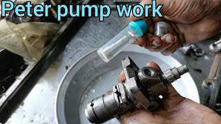 how to 1 cylinder engine fuel pump work ( China 8hp Peter engine fuel pump repair)