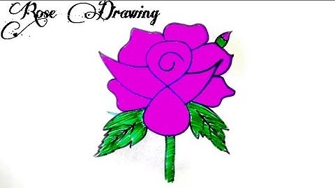 How To Draw A Rose Step By Step | Slow Drawing Tutorial.