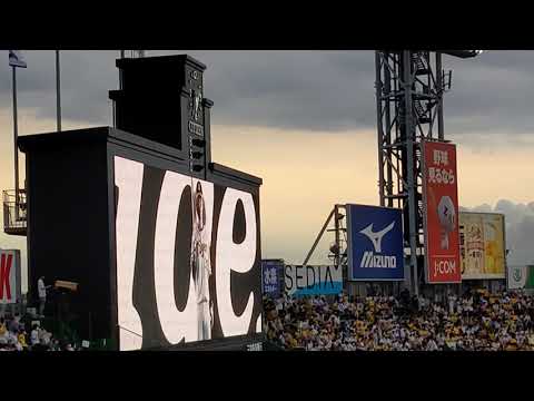 阪神 糸原健斗選手第一打席💫登場曲🎵 FREAK【誓いの歌】応援歌🏟21.6.25甲子園