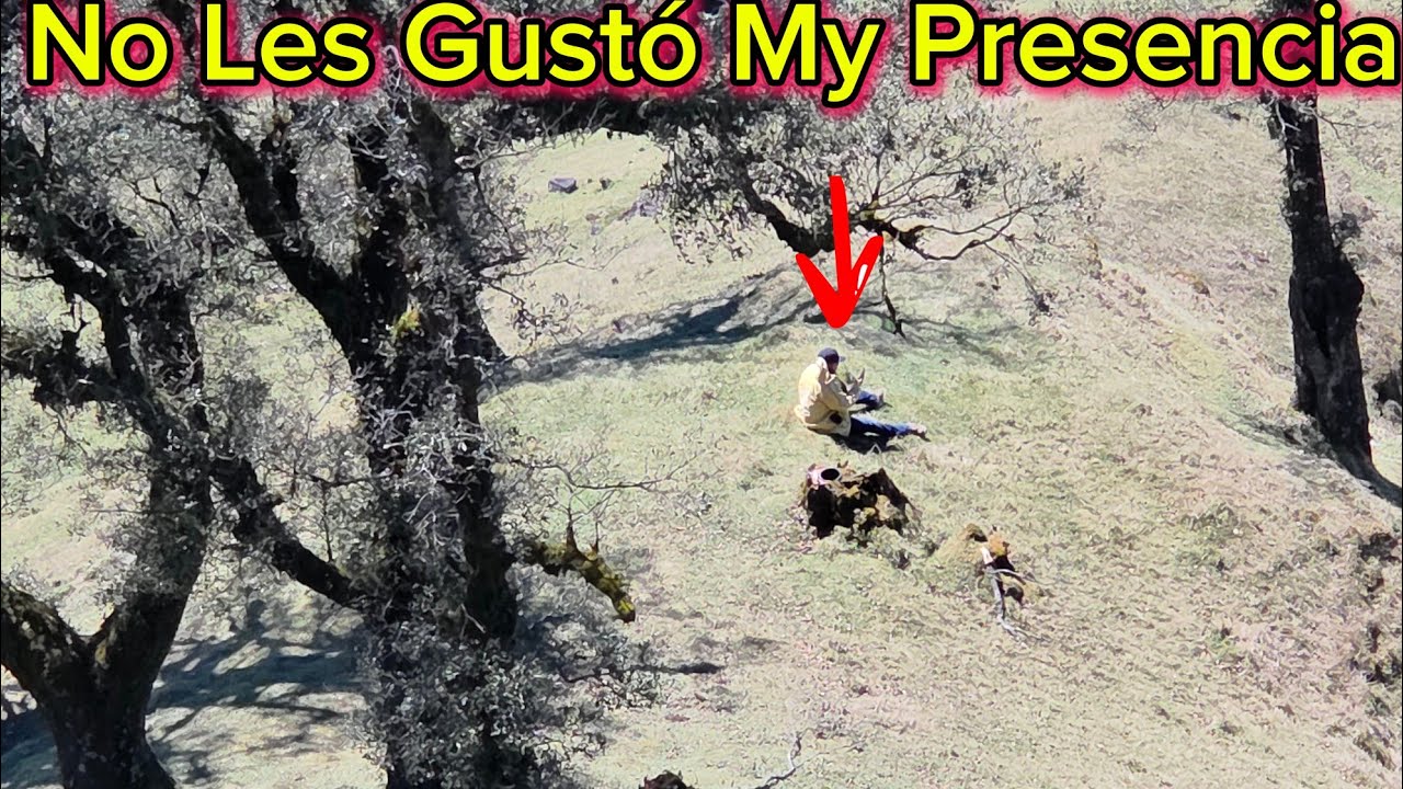 Otro Accidente Algo No Andava Bien Me Gritaron 2 Veses 