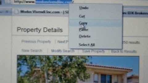 IMORIA presents the Real Estate IDX  MLS solutions that are sub domains!