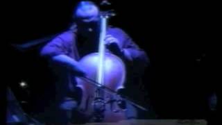 cellotronic-gustavo pláate-vuelo del moscardón-Nikolai Rimsky-Korsakov