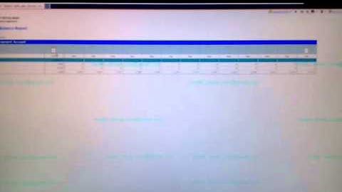 COGNOS with excell plus button