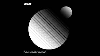 PleasureKraft - Tarantula (Max Styler Remix)