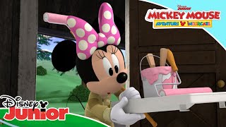  Casa De Vacanța A Lui Minnie Mickey Mouse Aventuri Încurcate Disney Junior România