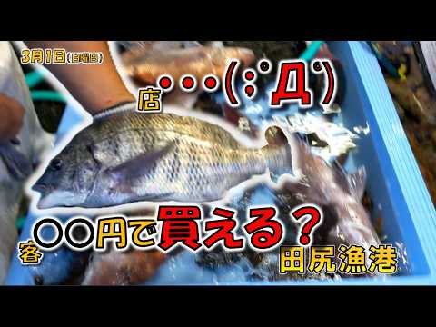田尻漁港で激安交渉！(；ﾟДﾟ)店員さんも絶句した驚きの買い方とは？３月１日（日曜日のサムネイル