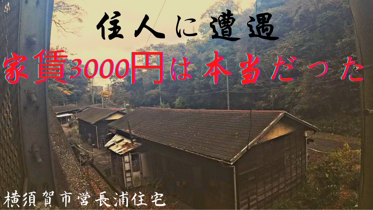 【廃墟探索】横須賀 市営長浦住宅 【廃墟】的な魅力ある建造物 神奈川県横須賀市 kanagawa yokosuka Keikyu Anjinzuka Station