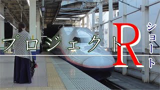 (迷列車)プロジェクトR　E4系新幹線　～高速鉄道限界の定員数を確保せよ～