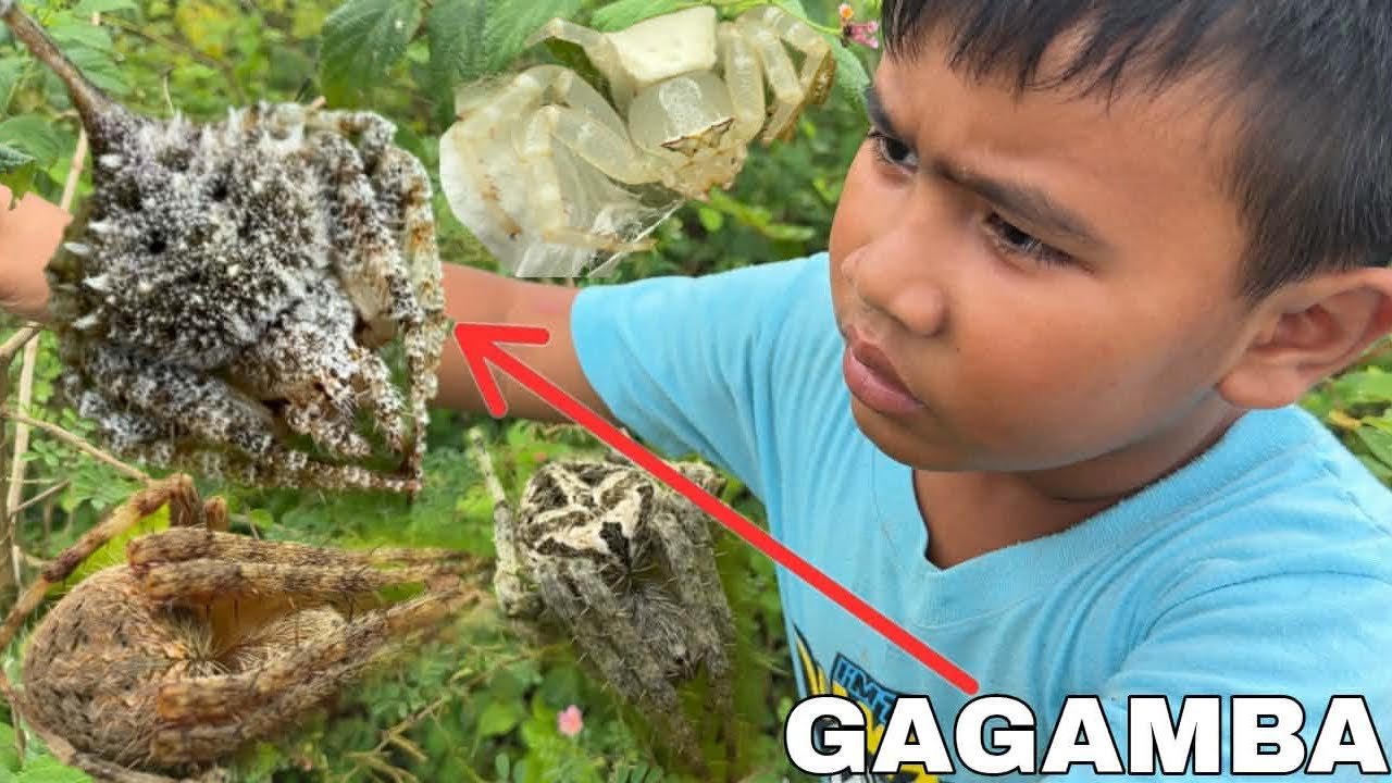 NAMANGHA KAMI SA NAKITA NAMIN NA GAGAMBA KAKAIBA NA ITO 