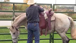 Saddle fit eval of JC martin saddle with Smokie Brannaman