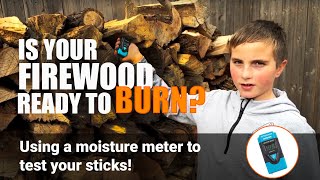 How to Tell If Firewood Is Seasoned: Harbor Freight Moisture Meter Guide