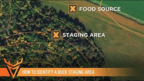 How to Identify a Buck Staging Area | S1E08 | Wired to Hunt