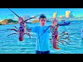 Pche aux langoustes journe incroyable saint barth