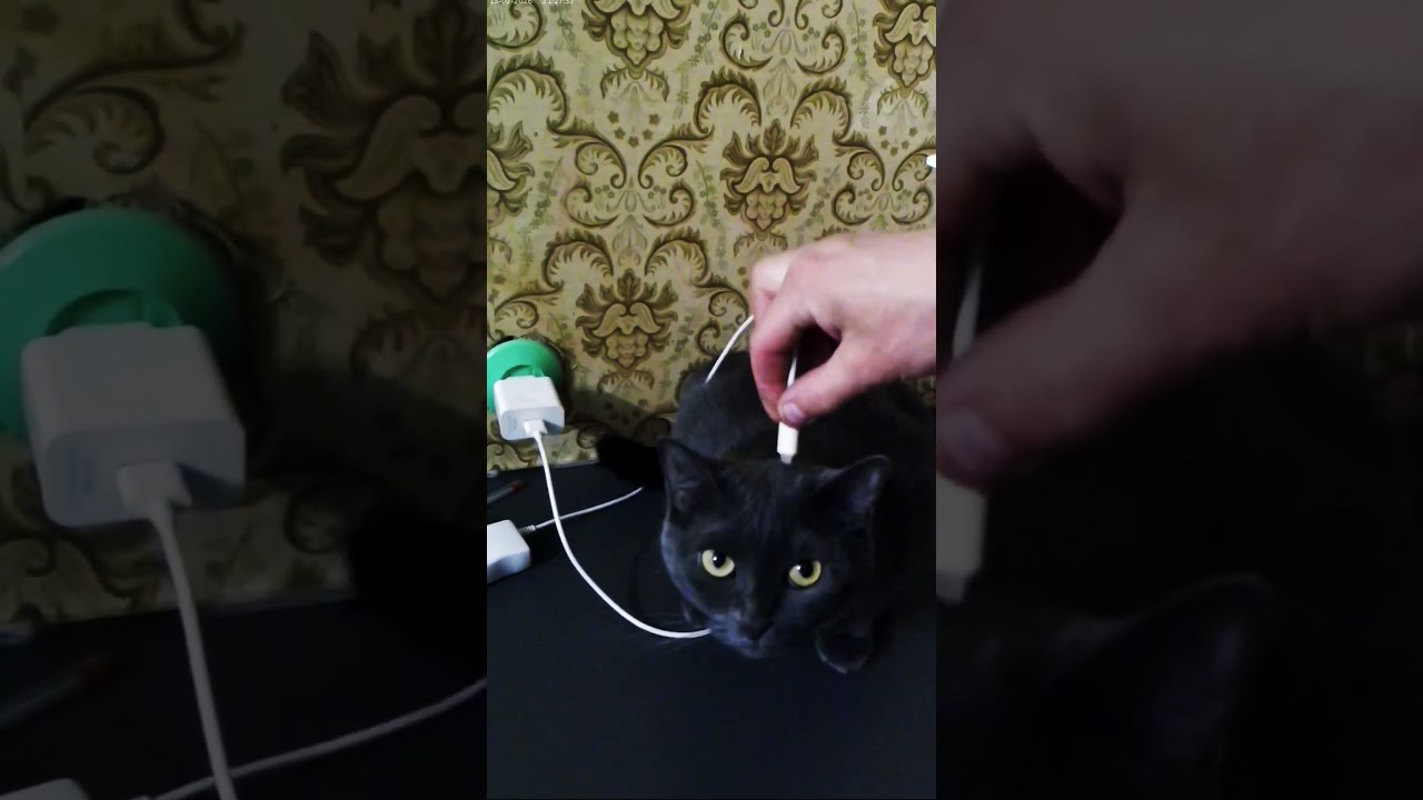 на зарядку мозгов.