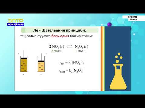 Video: Жаратылыштын тең салмактуулугу барбы?