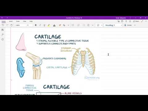 Video: Tumor Sistem Muskuloskeletal Dan Saraf Di Ferret