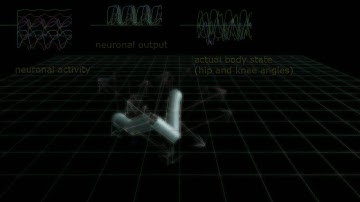 Walking Biped (first generation)