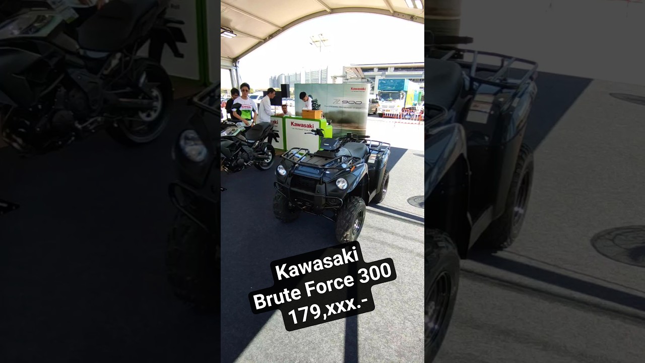 Взгляните на Kwasaki Brute Force 300, фермерский квадроцикл. 