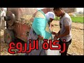 الحاج صديق مش عايز يطلع زكاة الزرع شوف حصل له اي
