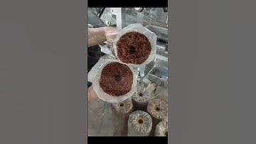 automatic mushroom bag filling machine mushroom bagging machine #mushroomgrowing