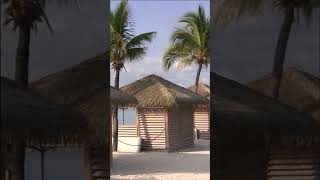 Tropical Island Royal Caribbean Cococay