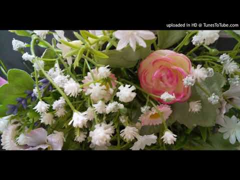 【Rain/秦基博】　言の葉の庭（カヌマの練習風景）