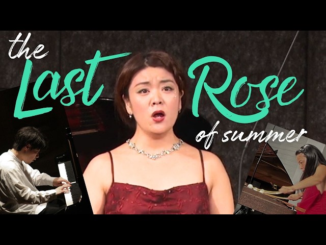 アイルランド民謡】夏の名残の最後のバラ 🌹マリンバ✖️ソプラノ