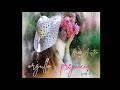 Orgullo y Prejuicio (audiolibro) - Jane Austen - Grabado por Victor Villarraza - Parte décima