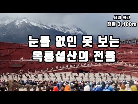 해발 3,100m, 500명의 소수민족이 울부짖는 차마고도의 삶 | 인상리장 총정리
